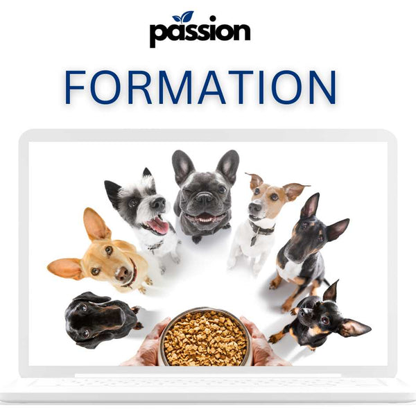 Formation elevage canin