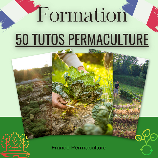 Formation permaculture "Univers de la Permaculture"