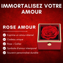 Amour éternel - Ma Passion