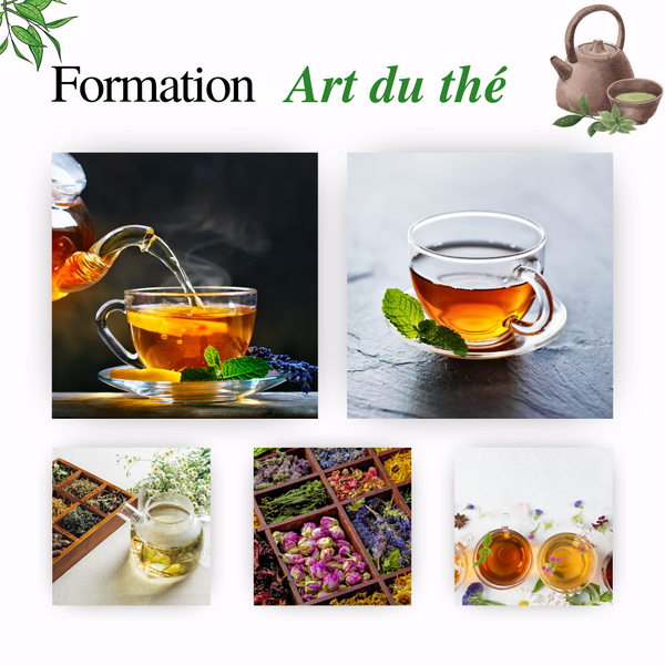 Formation thé "Art du thé"