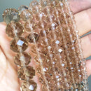 49562126123353|49562126188889