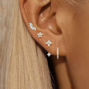 Puces d'oreilles dorée