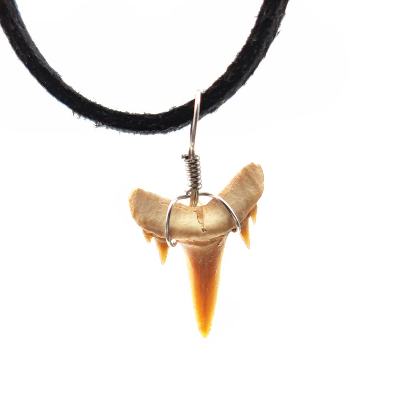 Dent de requin collier