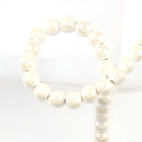 49551590523225|49551590555993