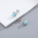 Puces d'oreilles larimar