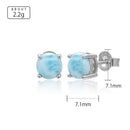 Puces d'oreilles larimar