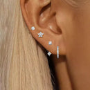 Puces d'oreilles dorée