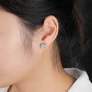 Puces d'oreilles larimar