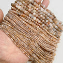 49562108166489|49562108232025