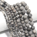 49554835112281|49554835145049