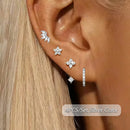 Puces d'oreilles dorée