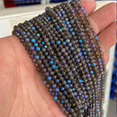 49562109280601|49562109346137