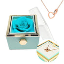 Amour éternel - Ma Passion