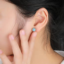 Puces d'oreilles larimar