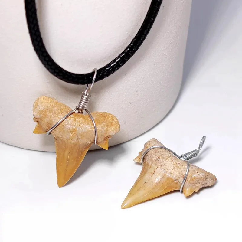 Dent de requin collier