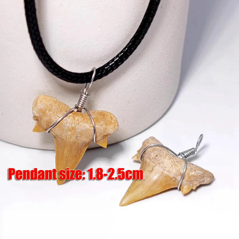 Dent de requin collier