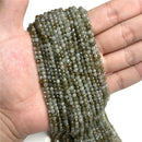 49562109018457|49562109182297