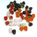 Perle de fruit - Ma Passion - Fabrication de bijoux