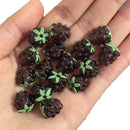 Perle de fruit - Ma Passion - Fabrication de bijoux